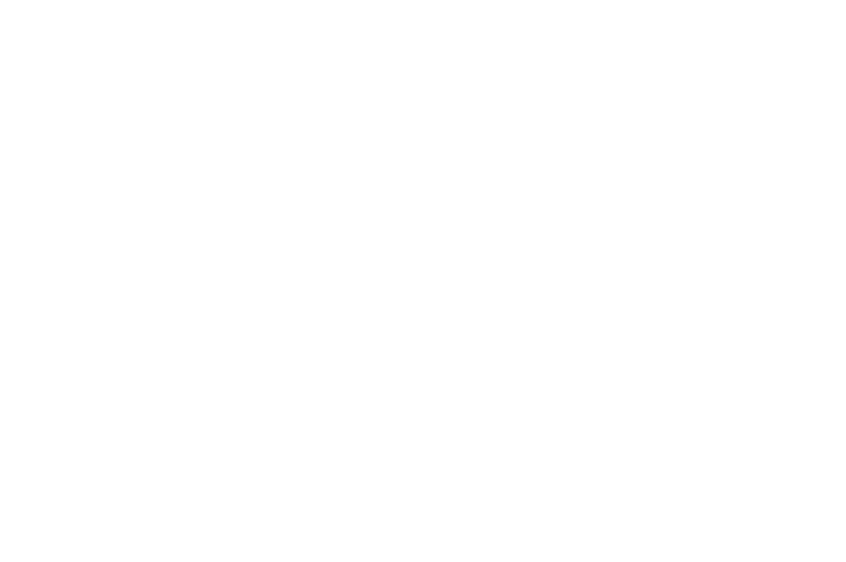 OFFICIAL SELECTION – Lighthouse Lens Film Festival – 2026 (1)