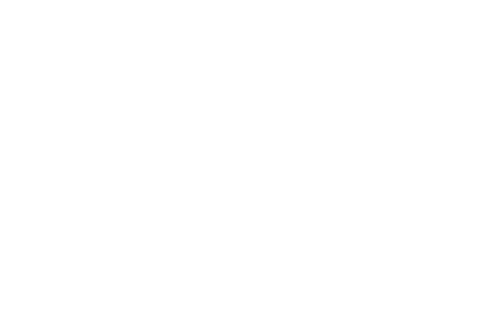 OFFICIAL SELECTION – Heroes International Film Festival – 2026 (1)